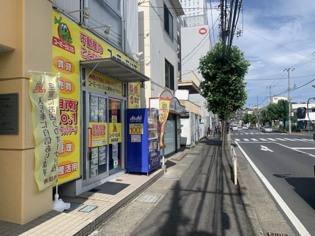 ユーミーらいふ海老名店前には枯れていない街路樹があります